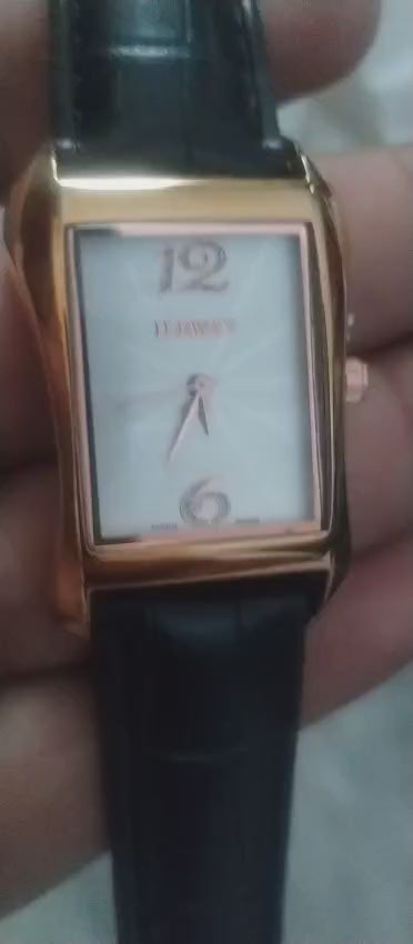 Ileway Luxury Waterproof Watch (No Box)